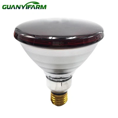 175 Watt Heat Lamp Bulb