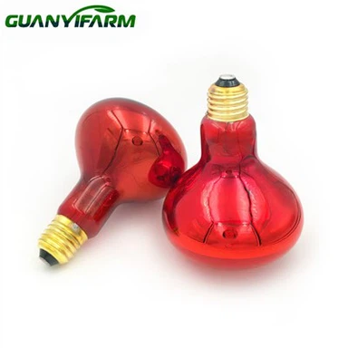 Lampa na podczerwień lęgowa