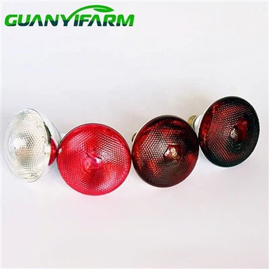 Lampa grzewcza na podczerwień do hodowli piskląt