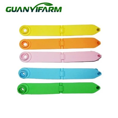 Świnia Owca Kolczyki