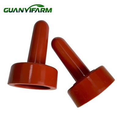 Karmienie sutka do owczy