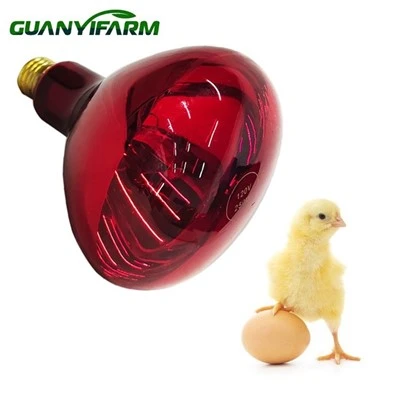 Lampa grzewcza na podczerwień dla drobiu